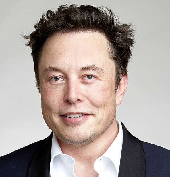 Elon Musk Avatar